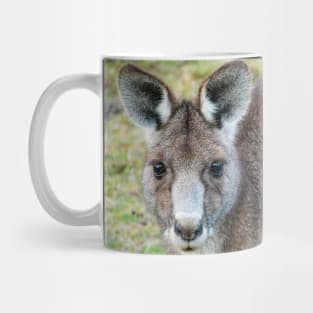 Eastern Grey Kangaroo Mug